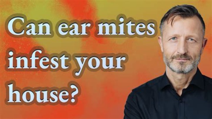 Can ear mites infest your house?