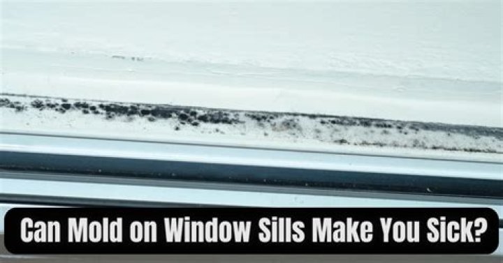 Can mold on window sills make you sick?