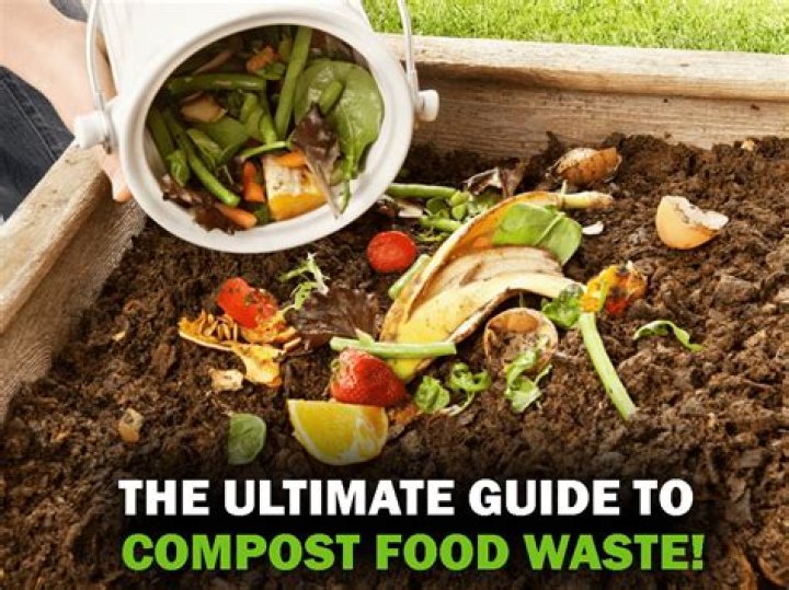 Can you compost whole potatoes?