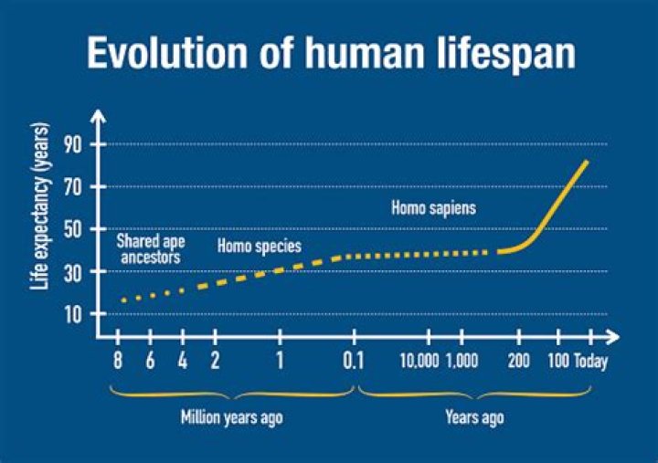 What is the human lifespan in destiny?
